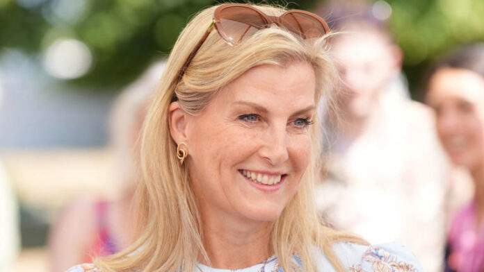 AA1HIb0W Duchess Sophie's old money Valentino dress is the ultimate formal look for your 60s